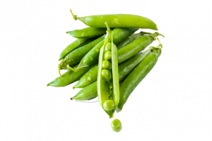 veg_5